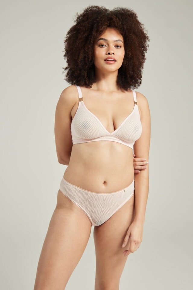 Nudea Sheer Deco High Leg Brief – Blush Pink