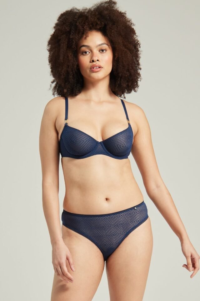 Nudea Sheer Deco High Leg Brief – Navy