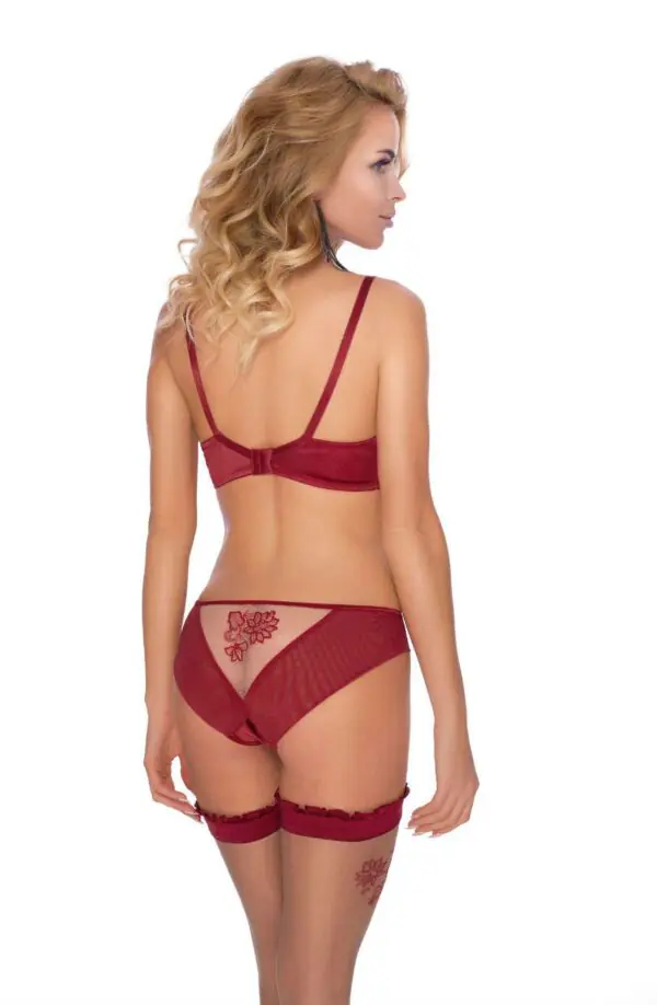 roza_mehendi_brief_claret_back_1.jpg roza_mehendi_brief_claret_back_1.jpg