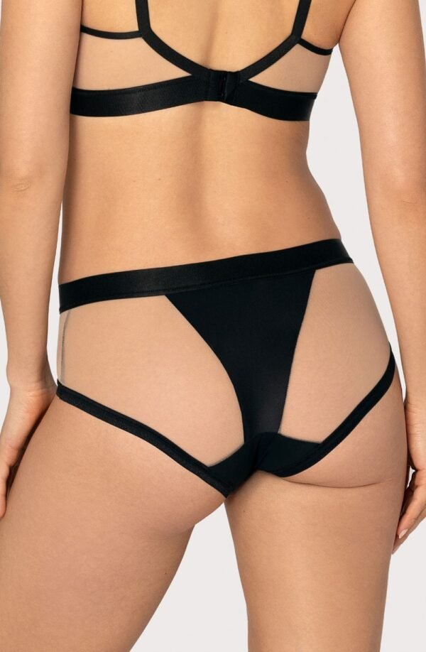 roza_passomela_beige_brief_closeup_back.jpg roza_passomela_beige_brief_closeup_back.jpg